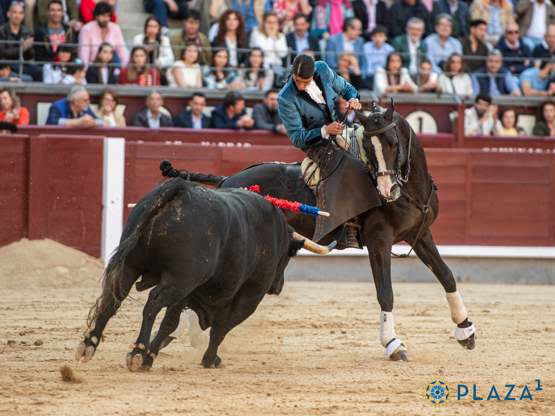 <p>Foto: Alfredo Arévalo / Plaza 1</p>